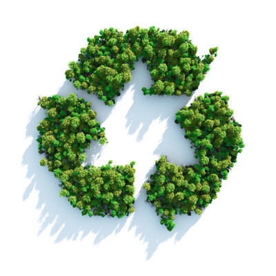 Eco Friendly Cleaning by TN Brown Services LLC