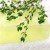Alameda Eco Friendly Cleaning by TN Brown Services LLC